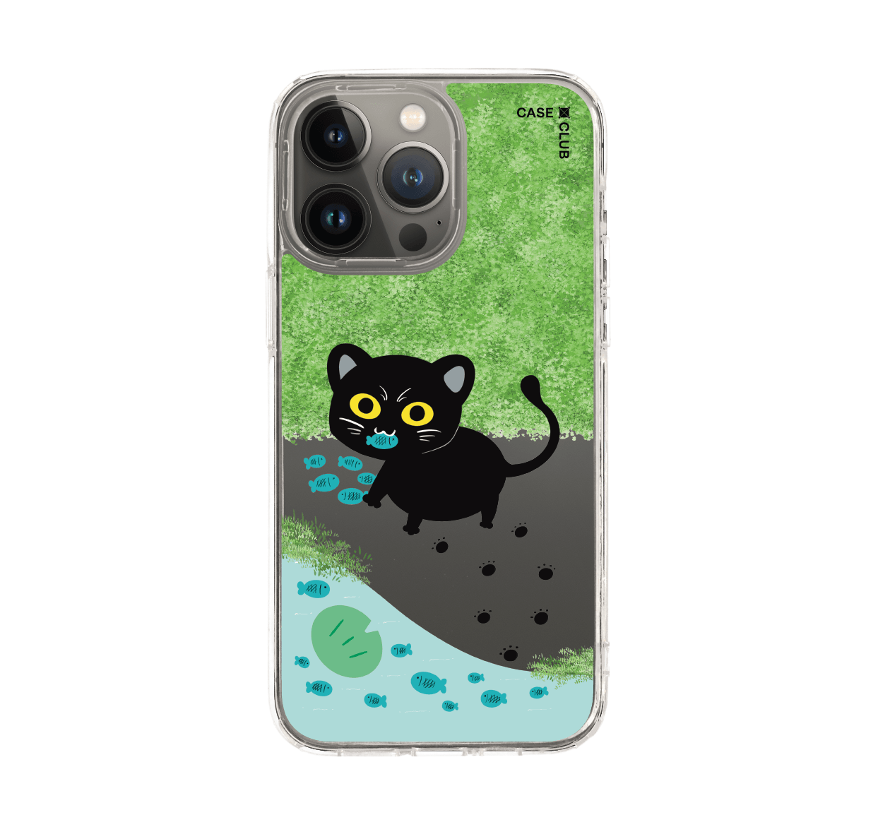 black cat & fish