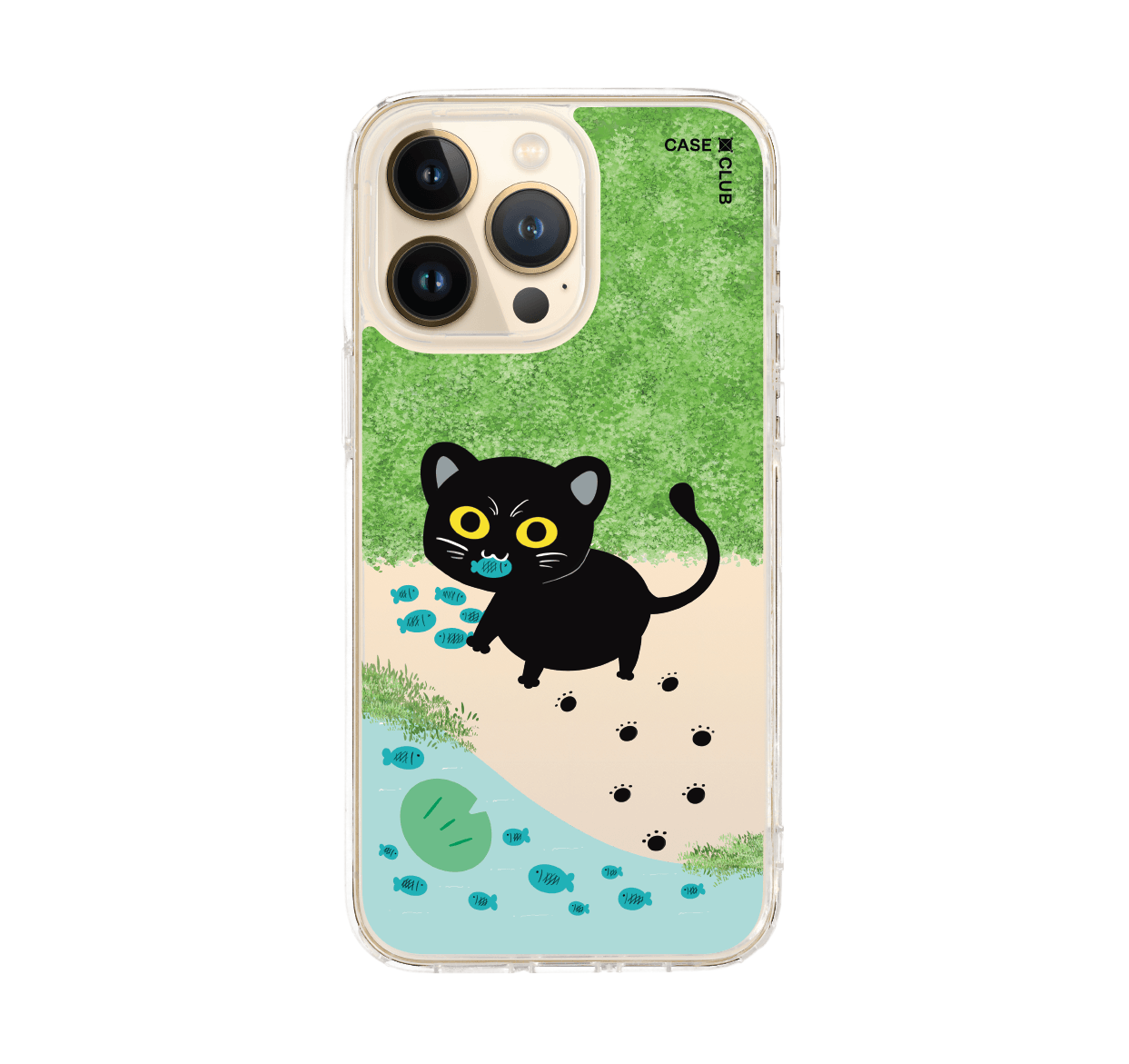 black cat & fish