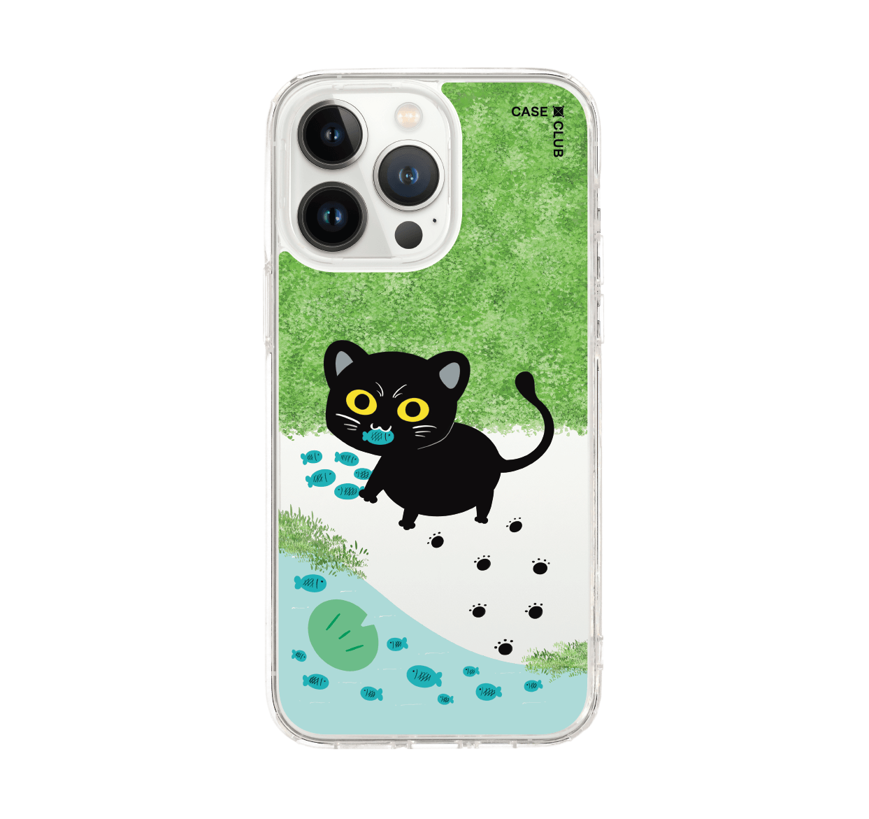 black cat & fish