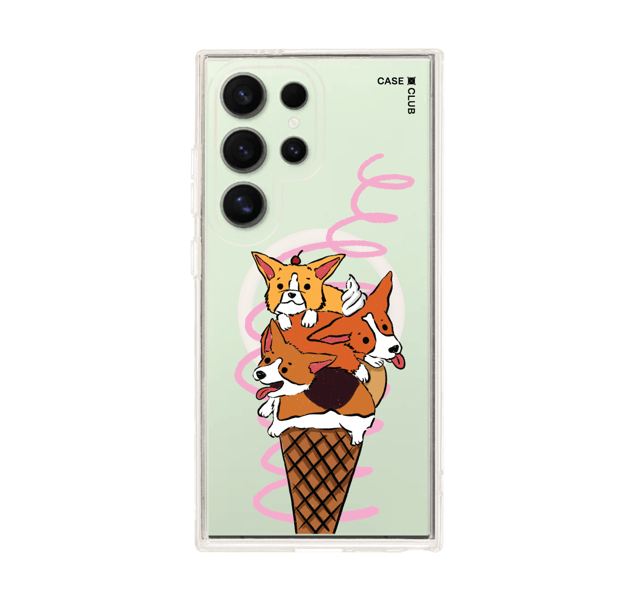 corgi ซันเดย์
