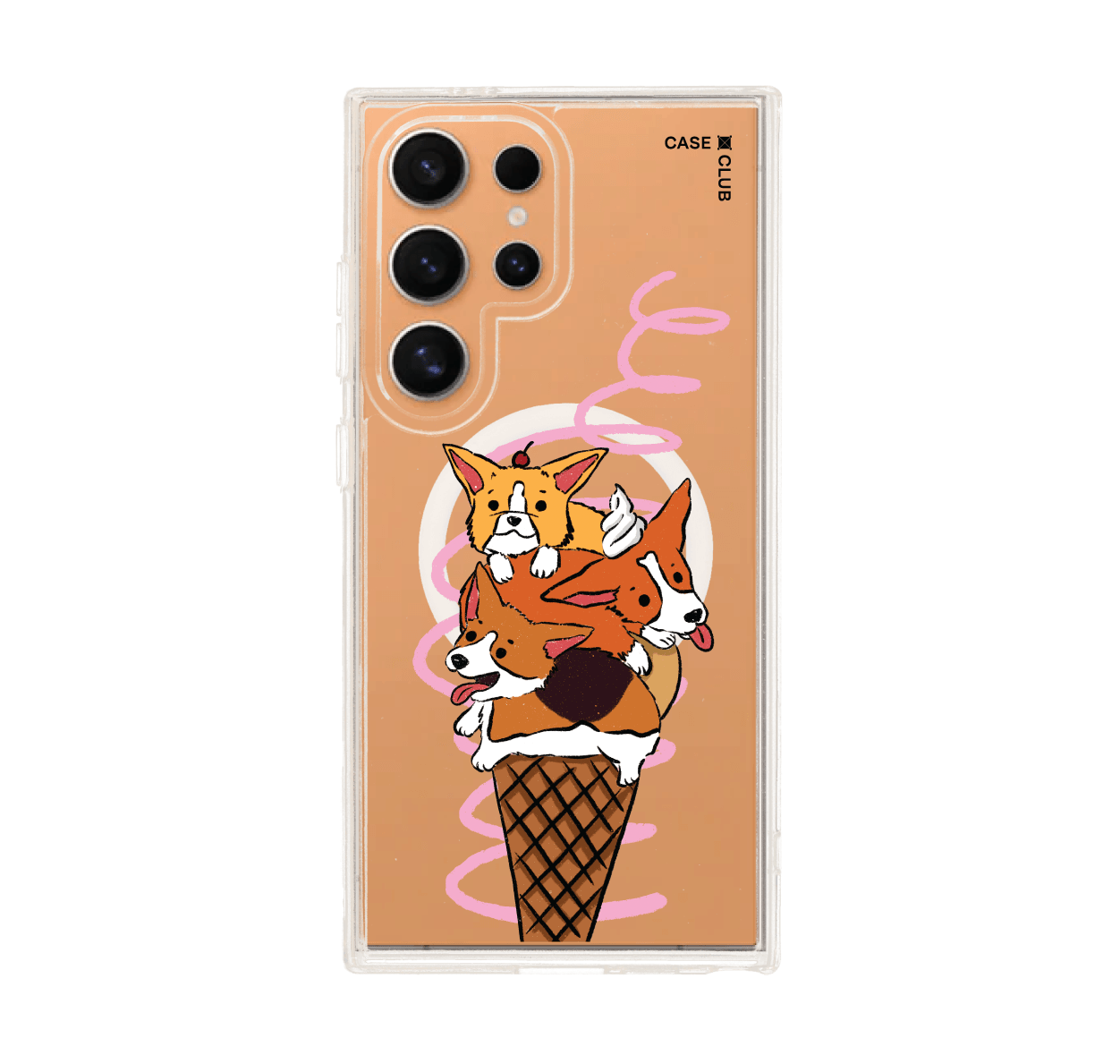 corgi ซันเดย์