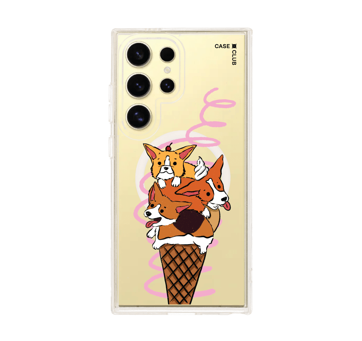 corgi ซันเดย์