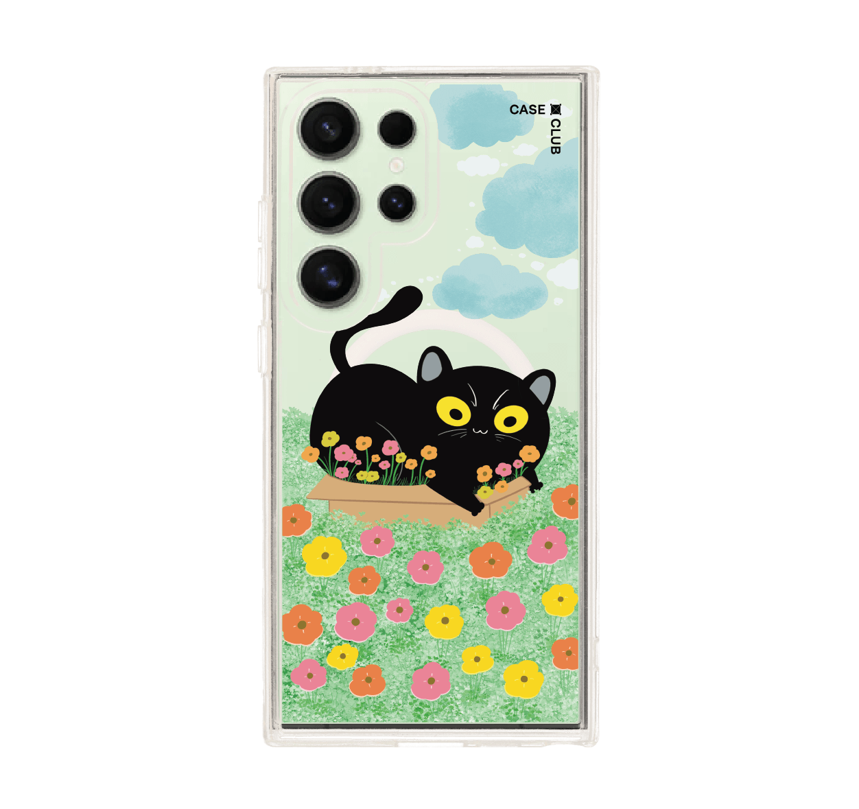 garden black cat