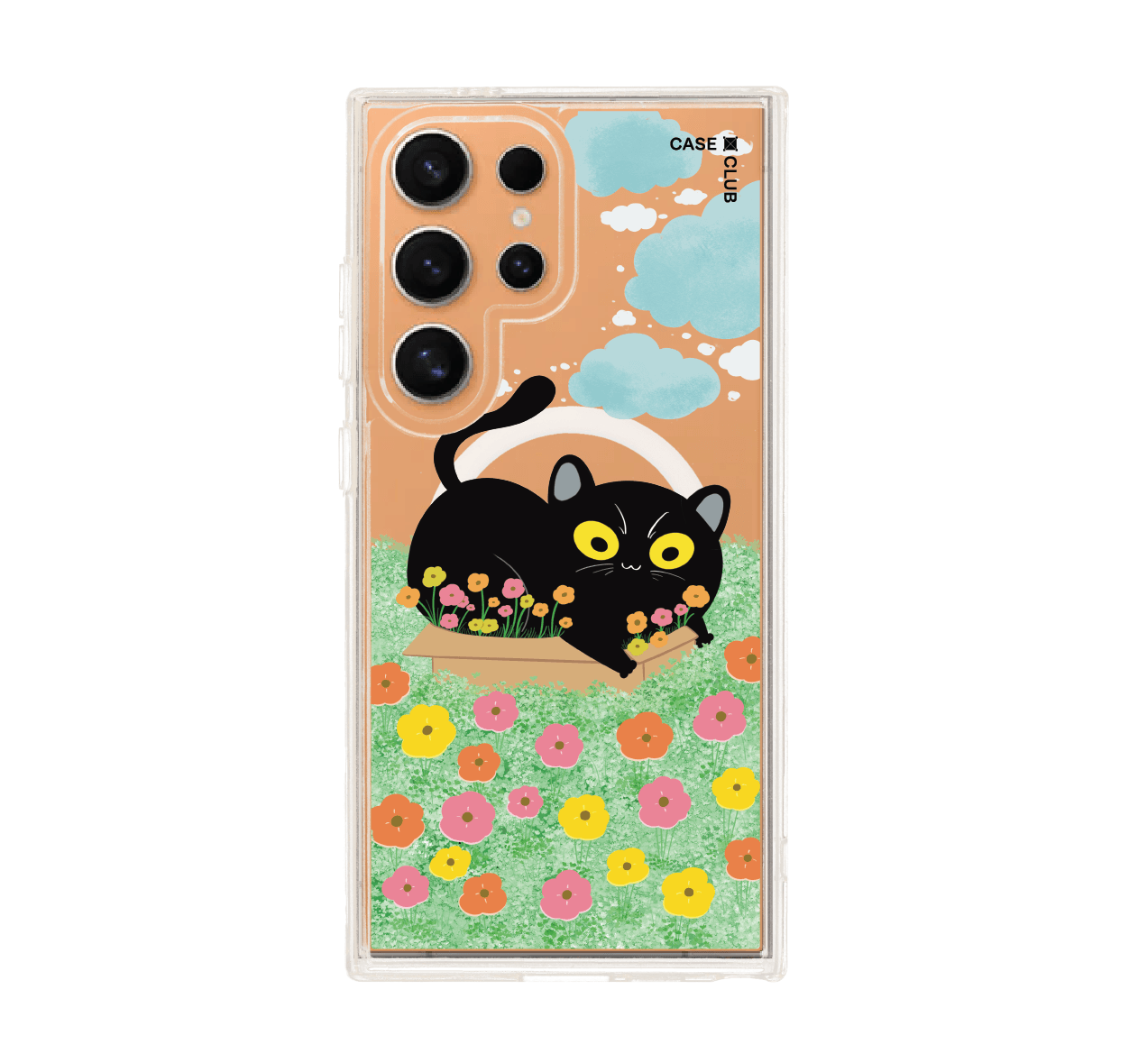 garden black cat