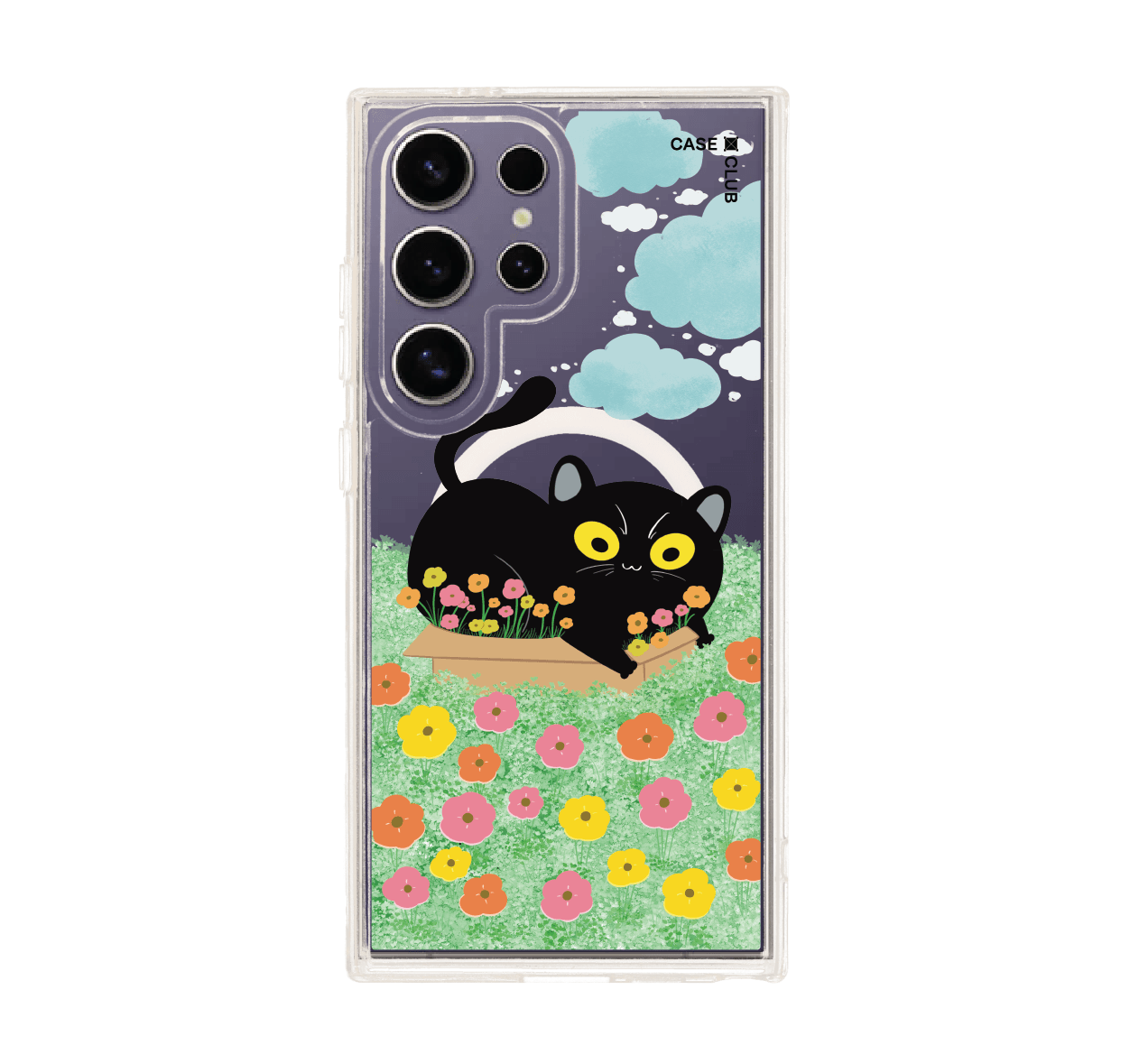 garden black cat