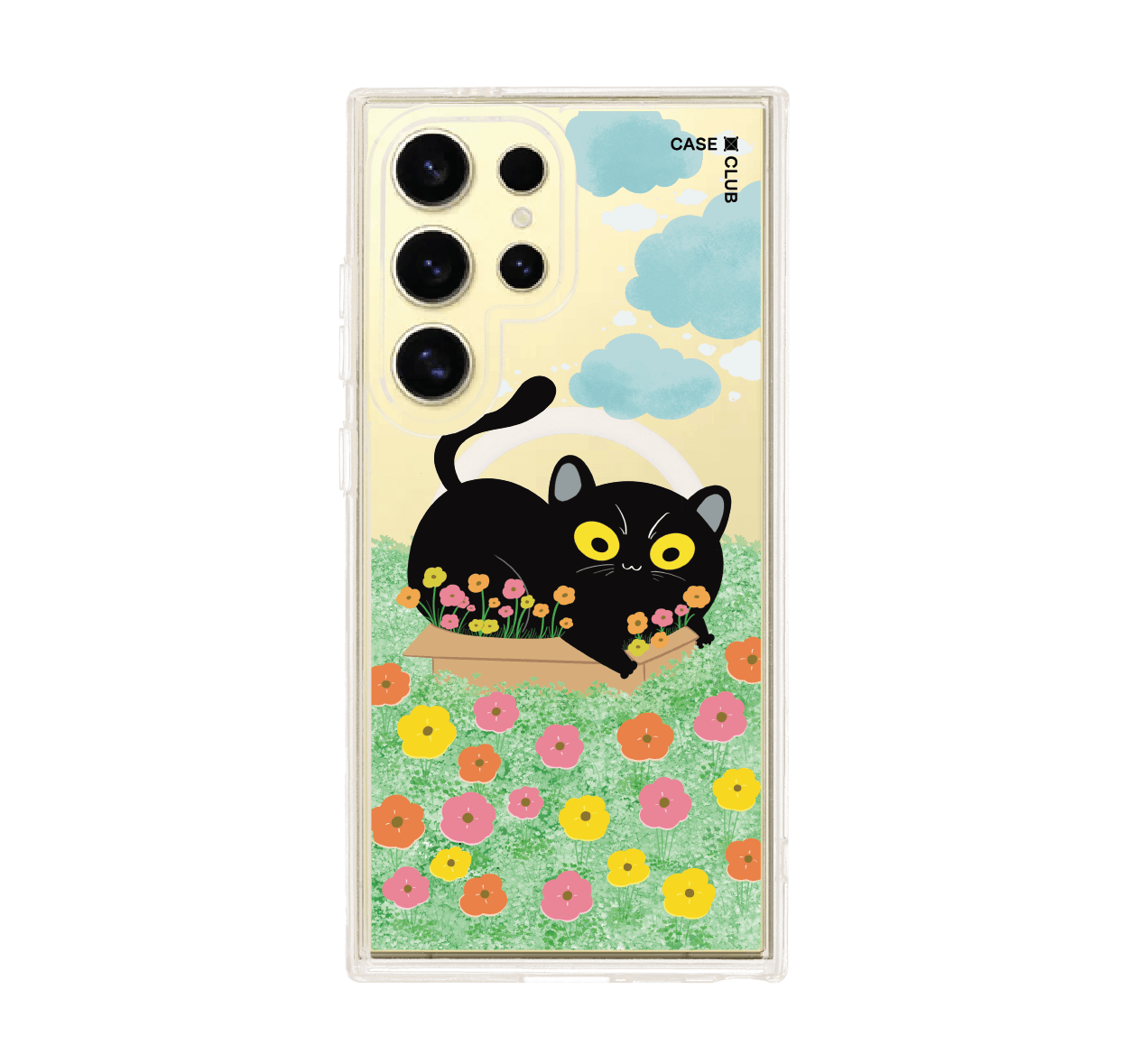 garden black cat