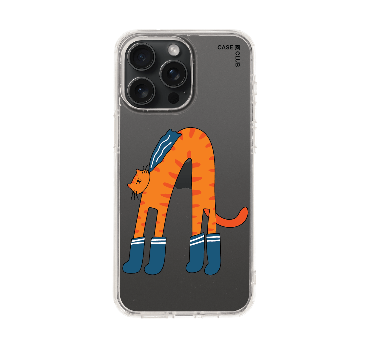 orange cat with blue sock
