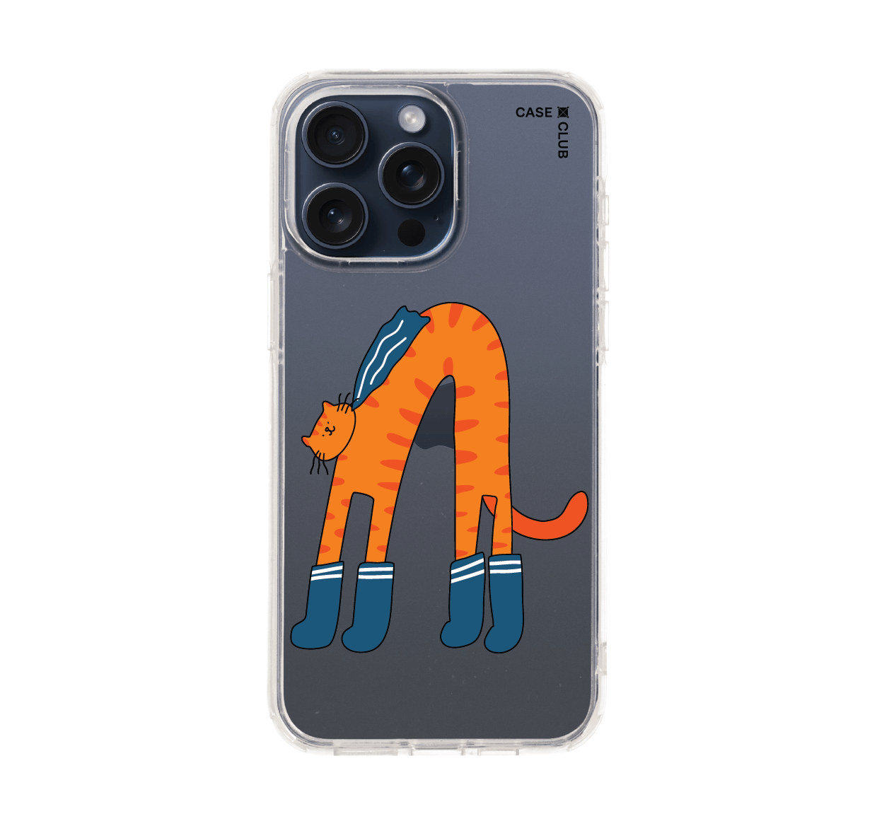 orange cat with blue sock