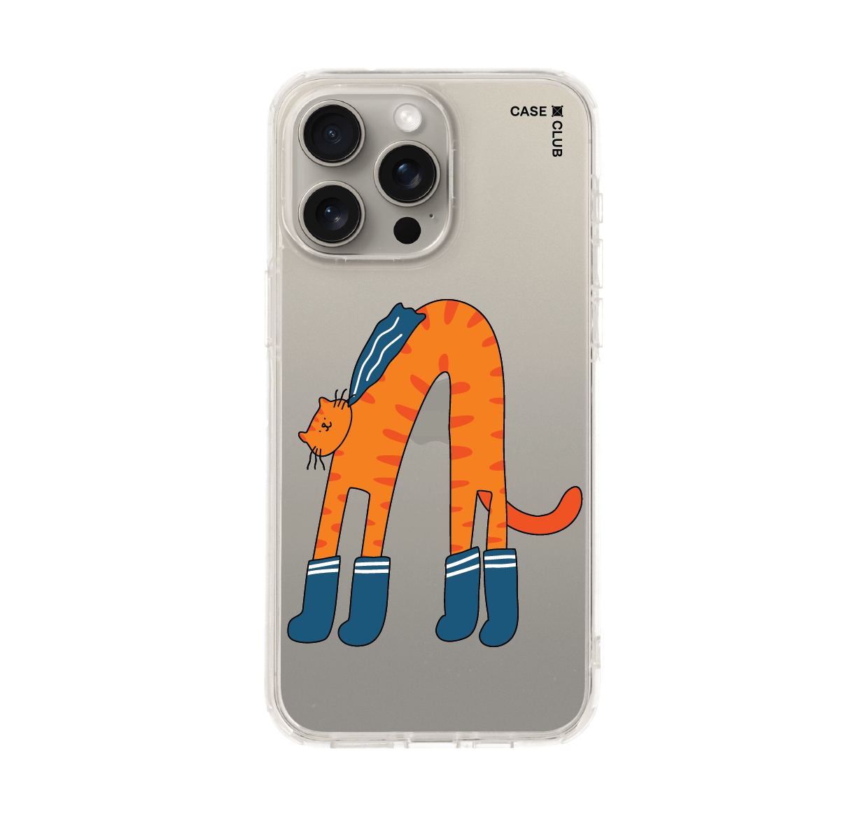 orange cat with blue sock
