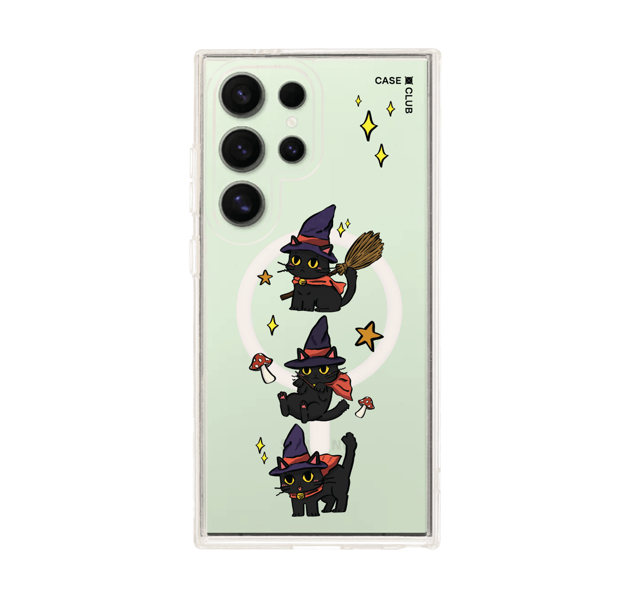 witch cat