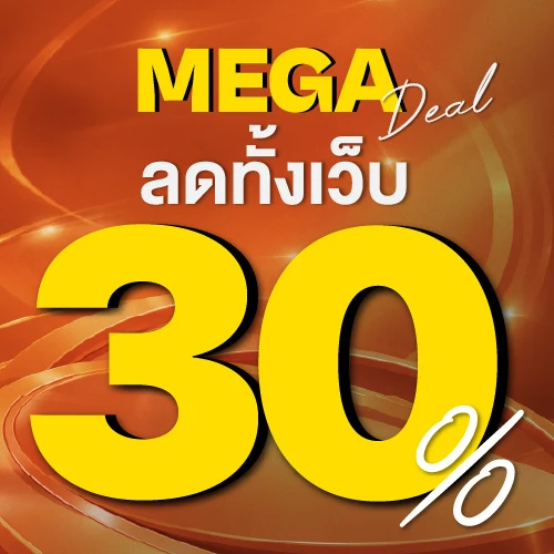 ลด 30% เมื่อช้อปครบ 2 ชิ้น
