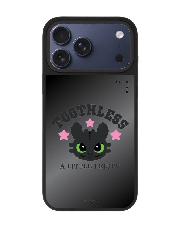 iphone 17 pro max matte mirror magsafe httyd toothless little feisty