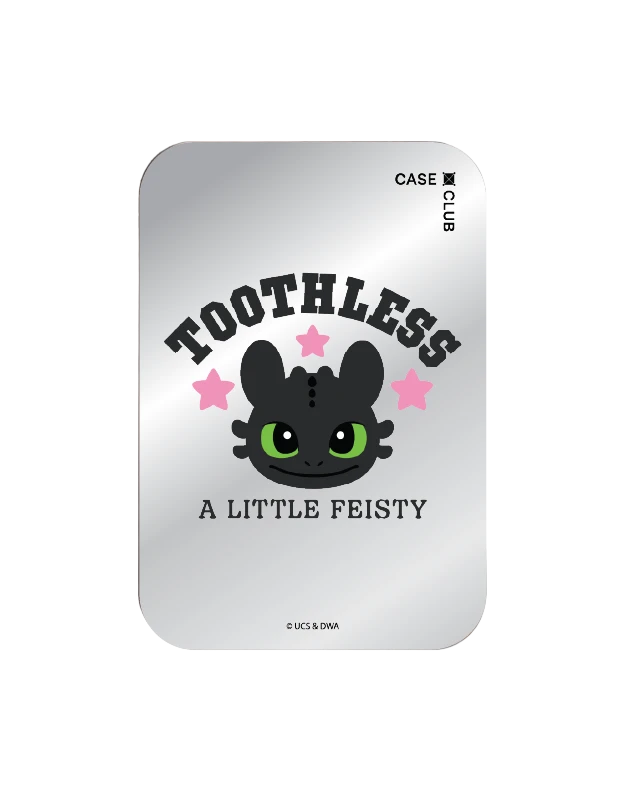 magnetic mirror cardholder stand httyd toothless little feisty