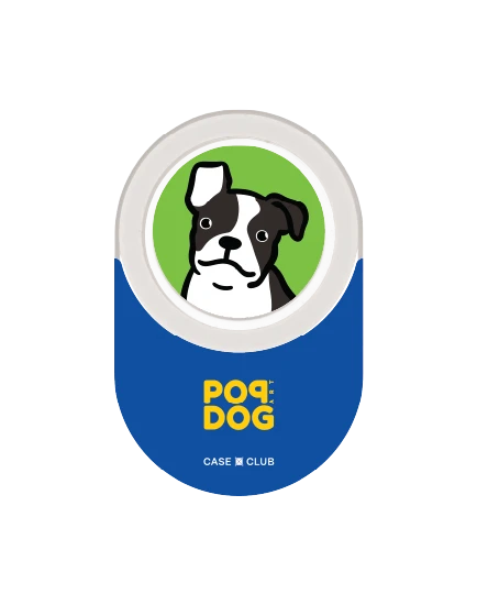 join the club boston terrier