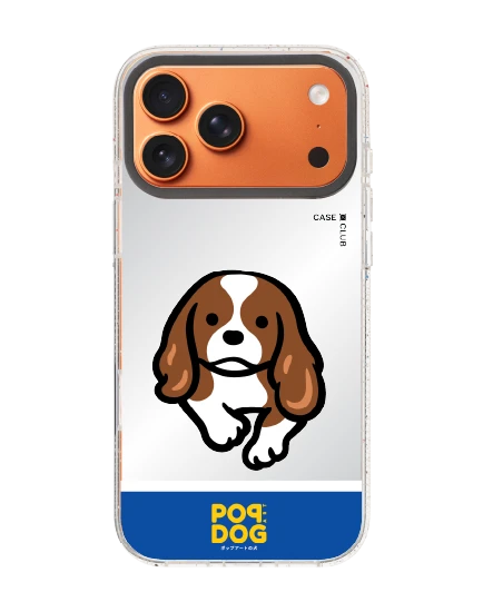 iphone 17 pro max clear mirror magsafe join the club cavalier