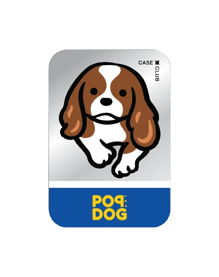 ที่เก็บบัตร magsafe แบบกระจกมีขาตั้งในตัว join the club คาวาเลียร์ คิง ชาลส์ สแปเนียล