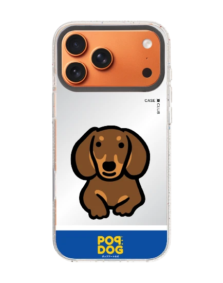 เคสกระจกใส iphone 17 pro max magsafe jtc ดัชชุน