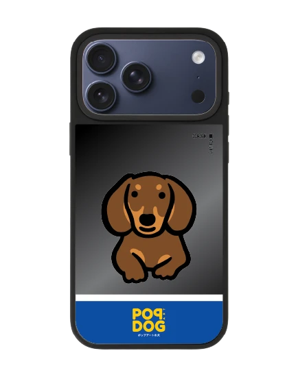 เคสกระจก iphone 17 pro max matte magsafe join the club ดัชชุน