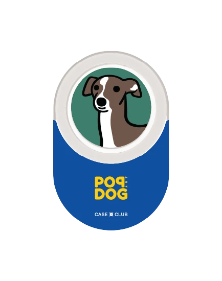 join the club อิตาเลี่ยน เกรย์ฮาวด์