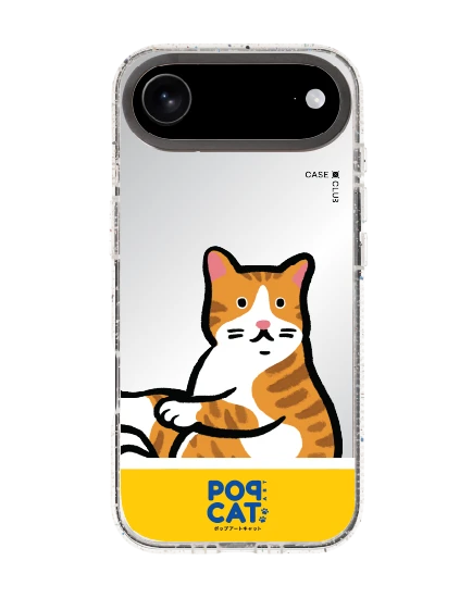 iphone air clear mirror magsafe join the club orange cat