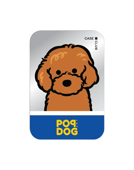 ที่เก็บบัตร magsafe กระจกมีขาตั้งในตัว join the club พุดเดิ้ล