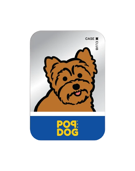 join the club ยอร์คเชียร์ เทอร์เรีย