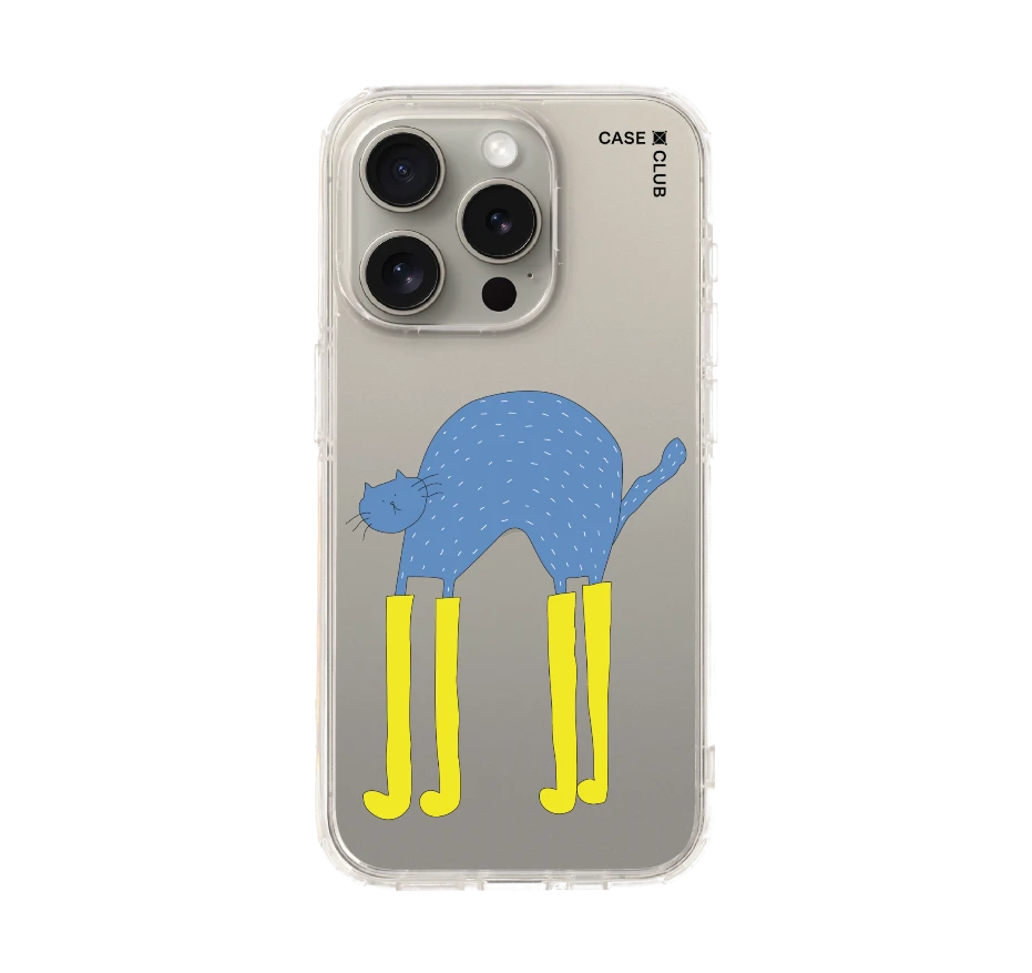 แมวฟ้ากับบูทซิ่งคู่ใจ