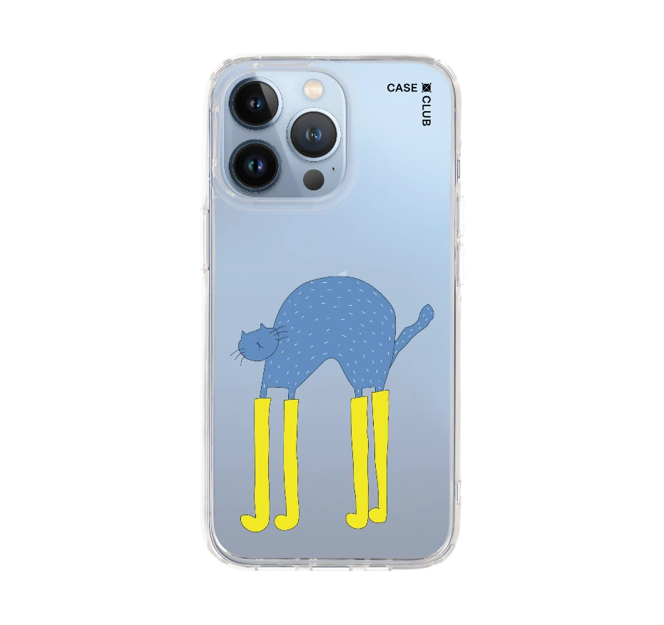 แมวฟ้ากับบูทซิ่งคู่ใจ