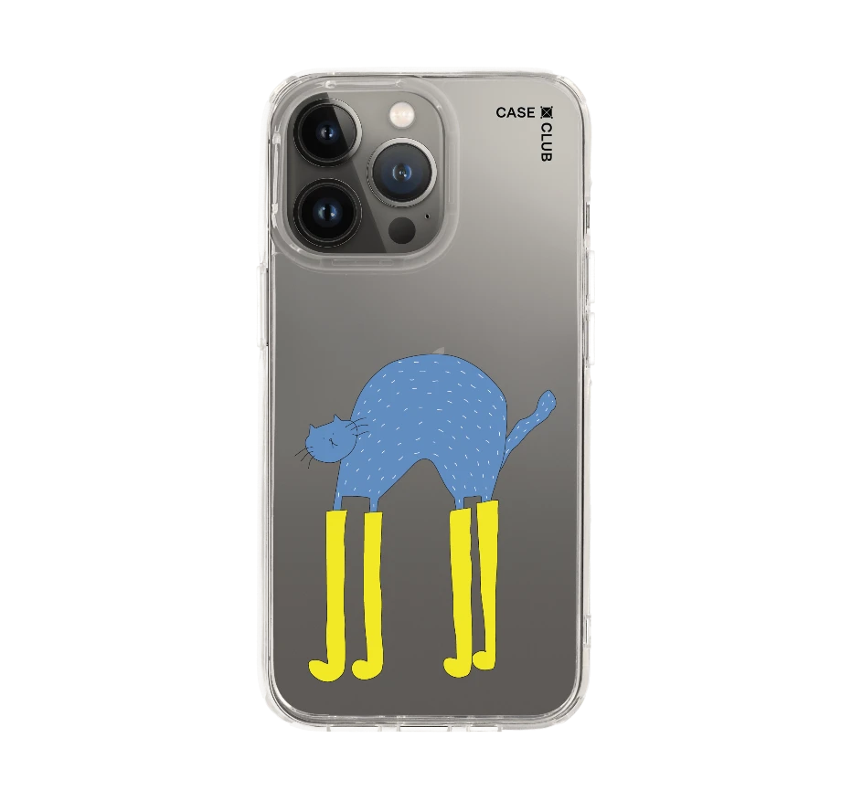 แมวฟ้ากับบูทซิ่งคู่ใจ