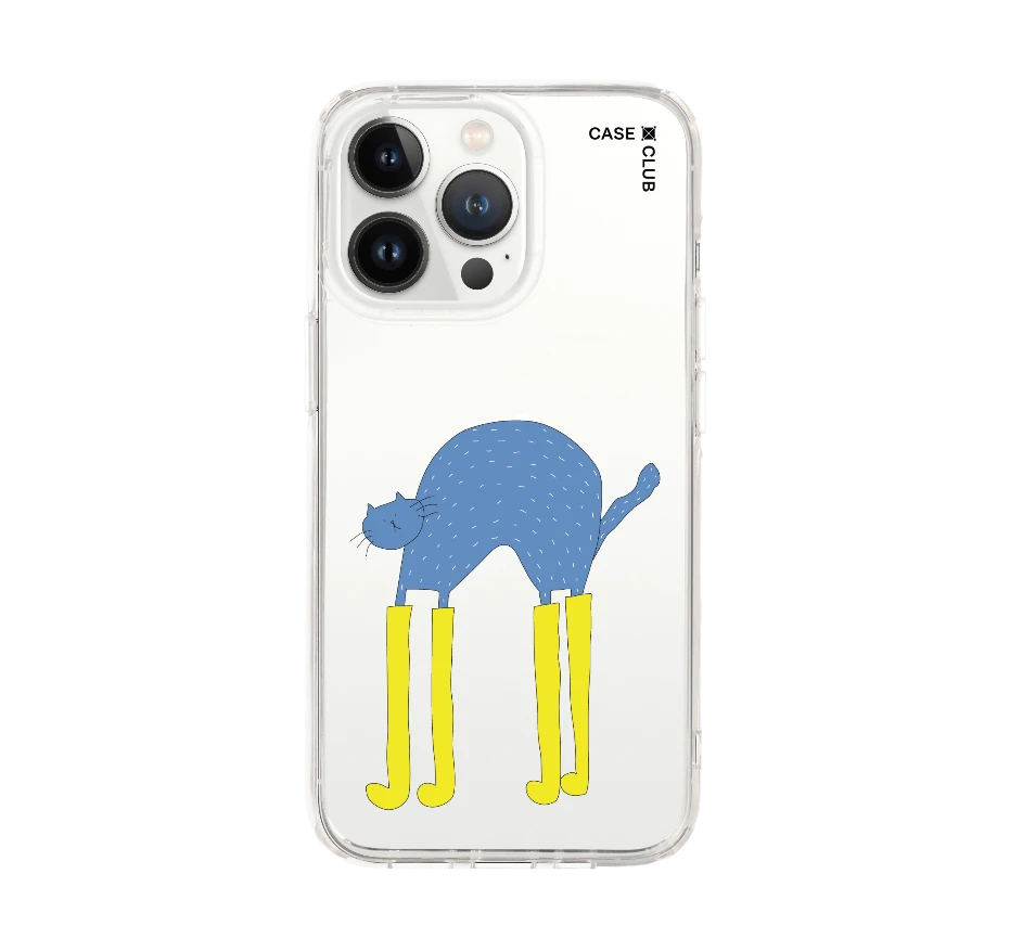 แมวฟ้ากับบูทซิ่งคู่ใจ