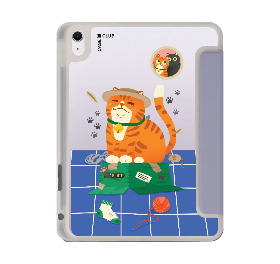 orange cat on the box