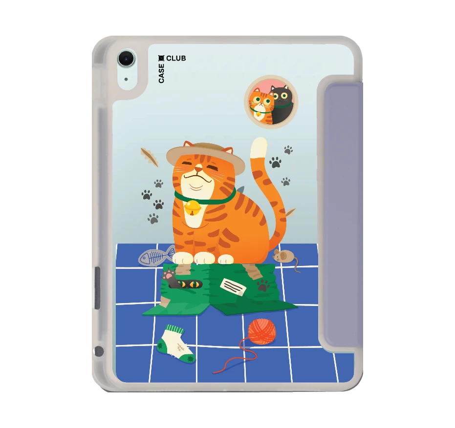 orange cat on the box