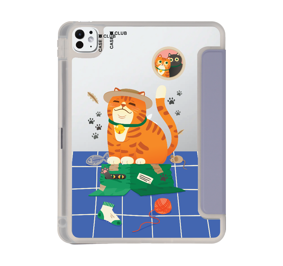 orange cat on the box