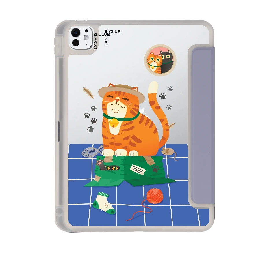 orange cat on the box