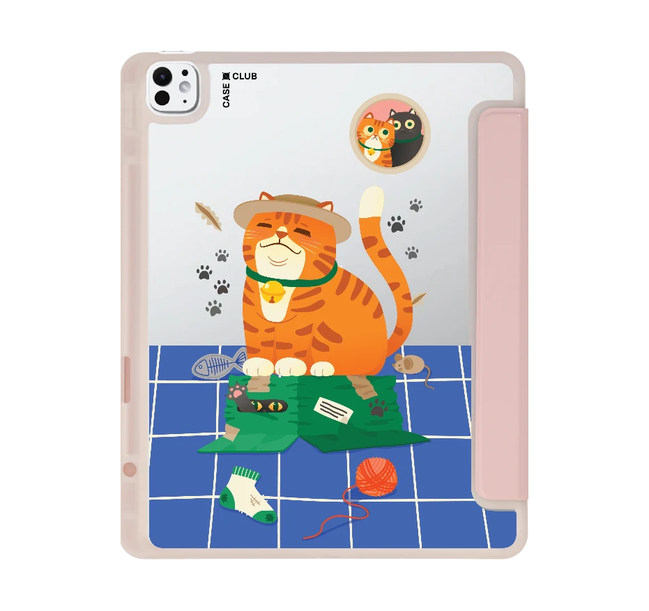 orange cat on the box