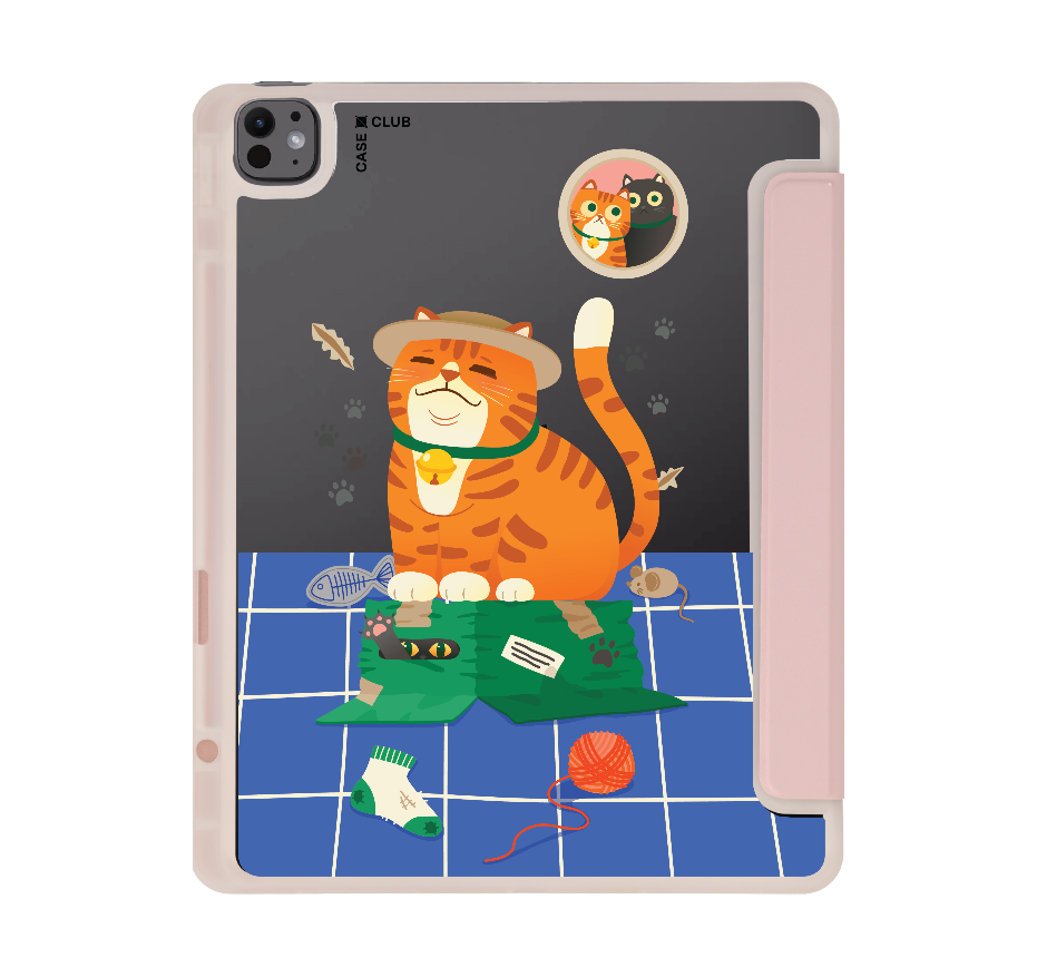 orange cat on the box