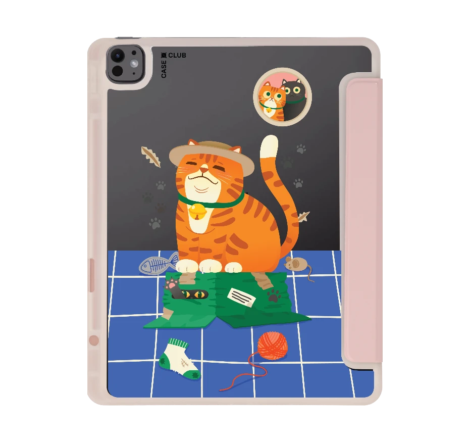 orange cat on the box