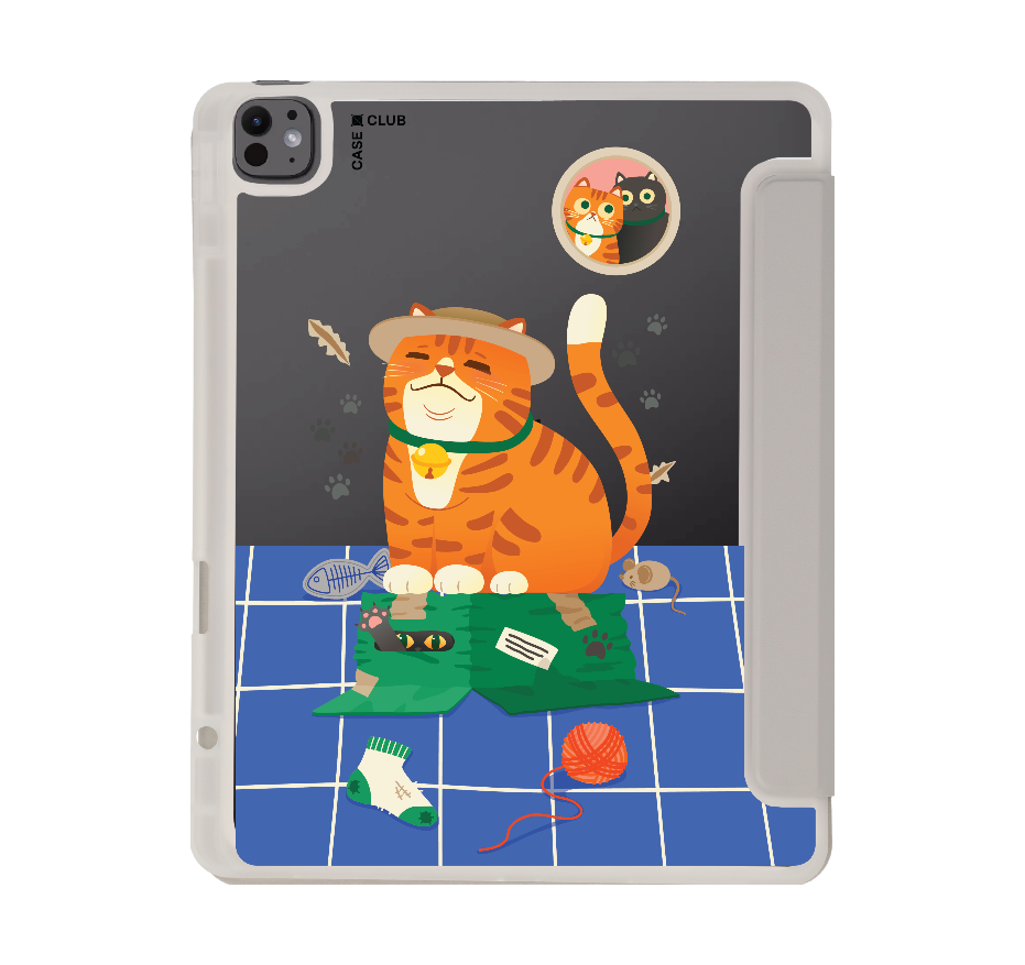 orange cat on the box