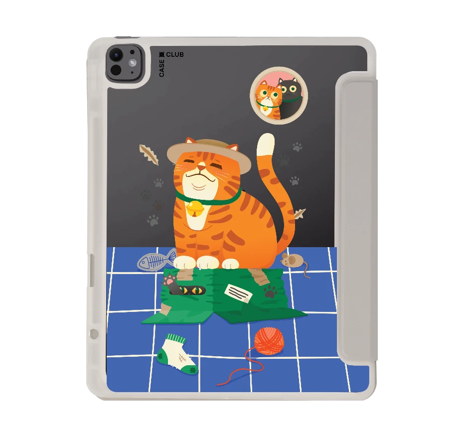 orange cat on the box