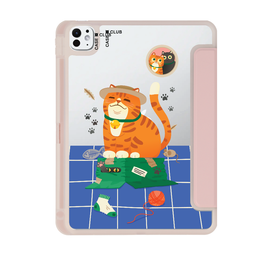 orange cat on the box