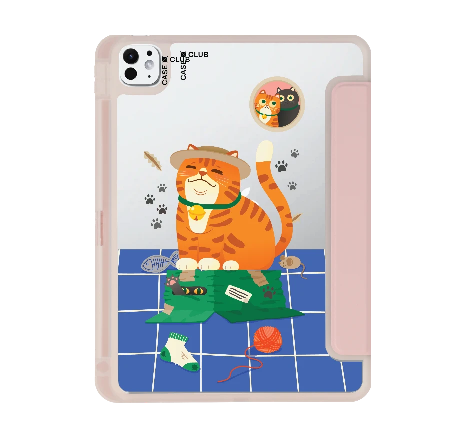 orange cat on the box