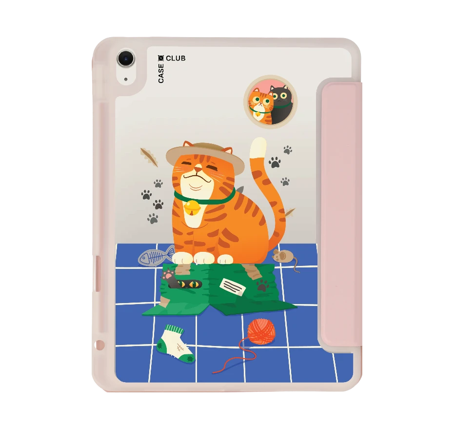 orange cat on the box