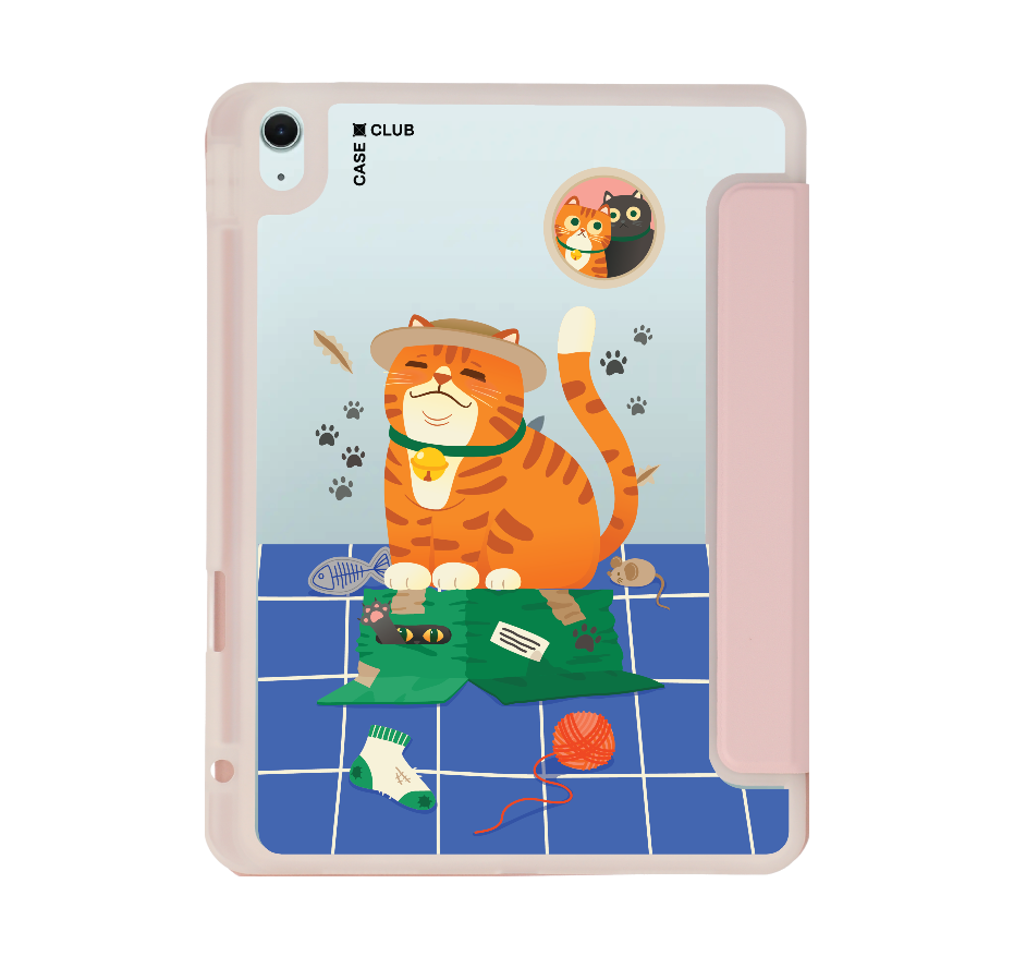 orange cat on the box