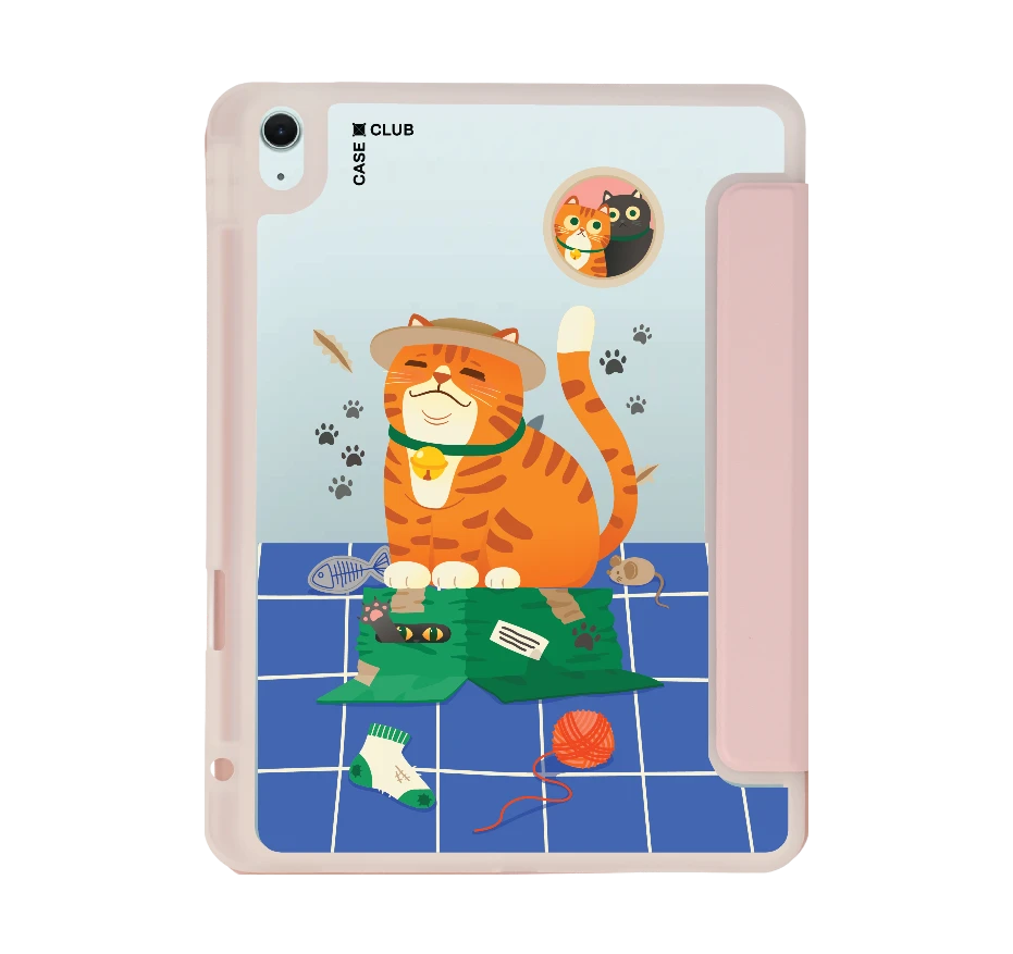 orange cat on the box