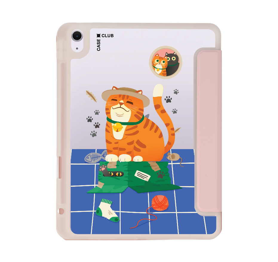 orange cat on the box
