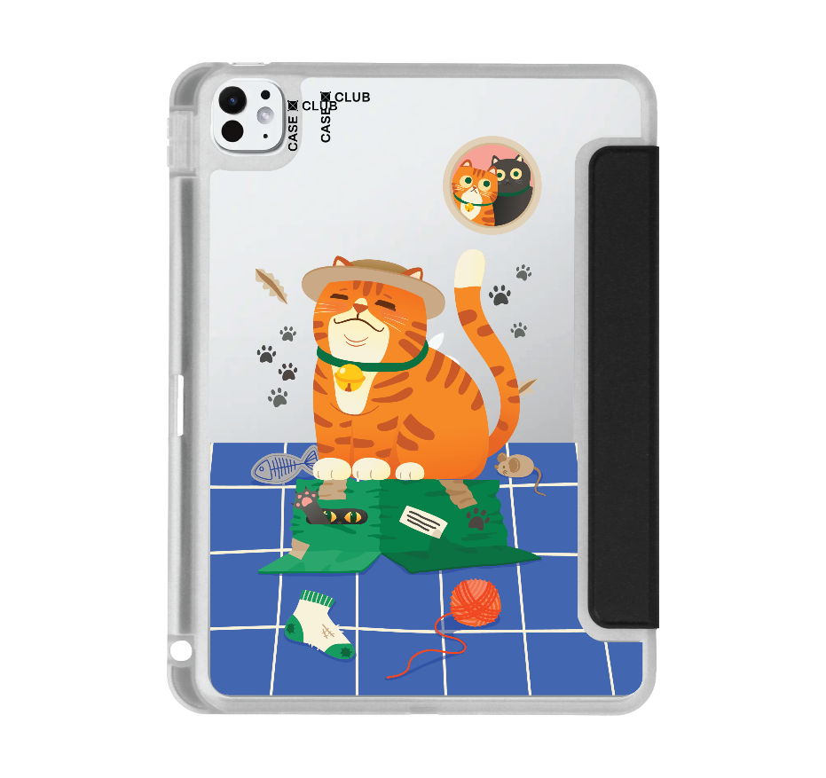 orange cat on the box