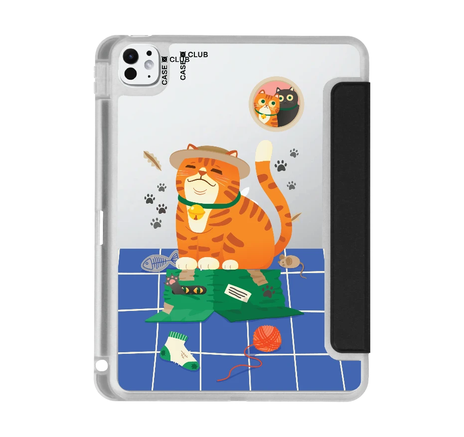 orange cat on the box