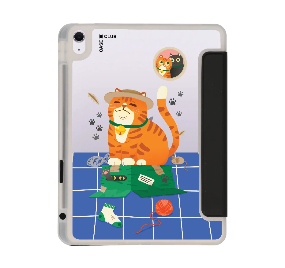 orange cat on the box