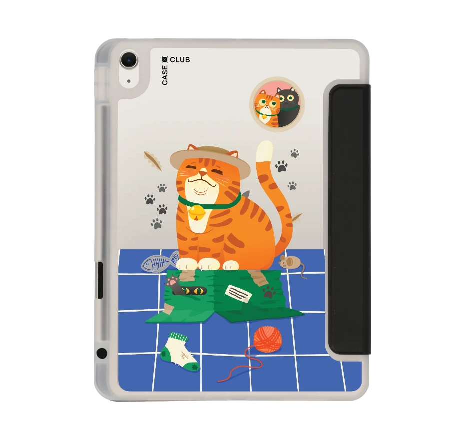 orange cat on the box