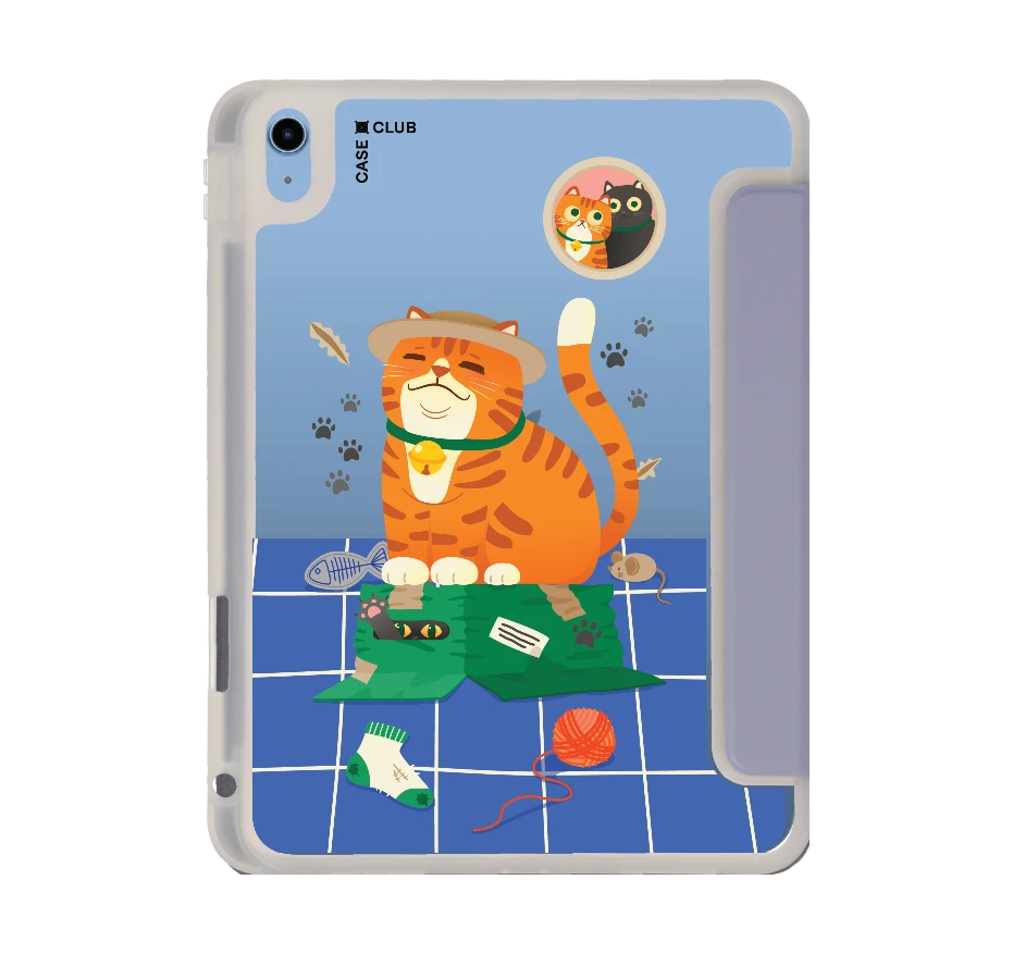 orange cat on the box